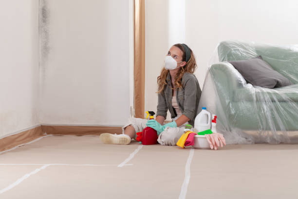 Reliable Mold Inspection contractor in Mayer, MN by WQB Mold Removal